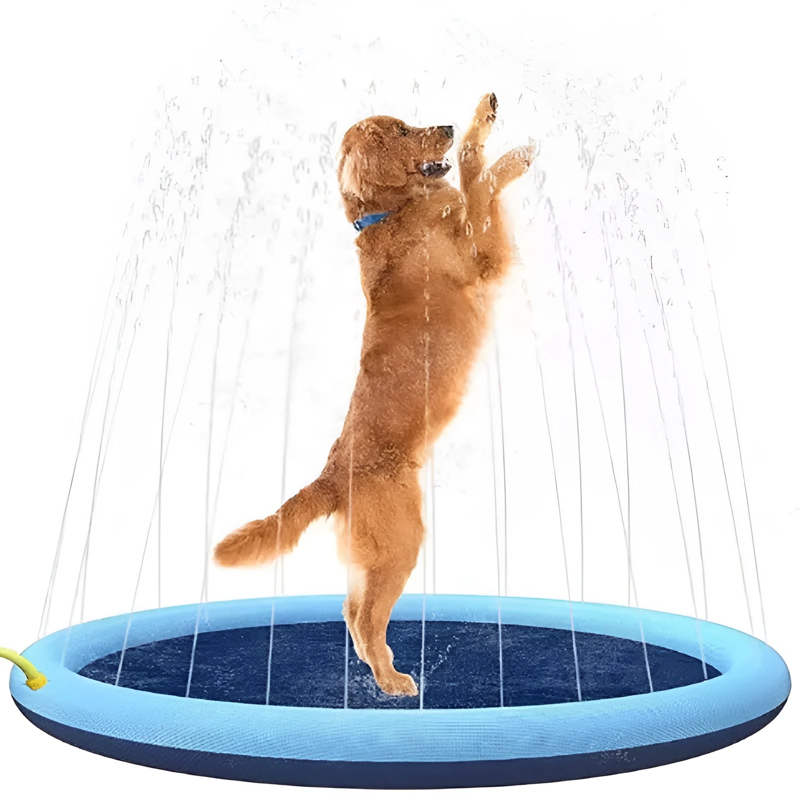 Large blue anti-slip dog splash pad with a textured surface in a sunny garden.