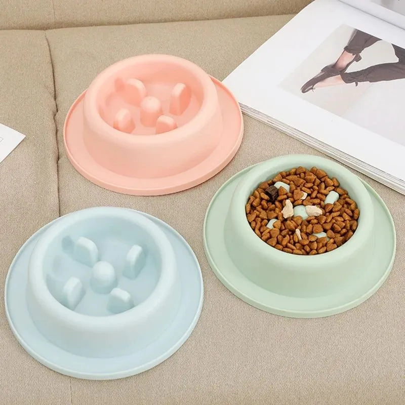 Pet slow eating feeder bowl in blue PP plastic with raised internal sections and non-slip base