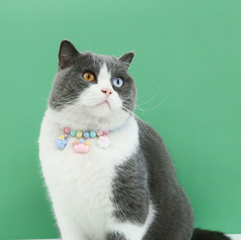 Colourful macaron-themed pet collar, necklace, and bracelet set in resin with adjustable sizing.