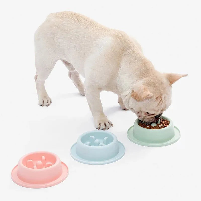 Pet slow eating feeder bowl in blue PP plastic with raised internal sections and non-slip base