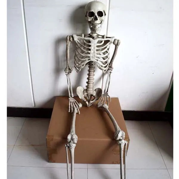 Full-size 170cm tall plastic skeleton prop with detailed skull and bone structure