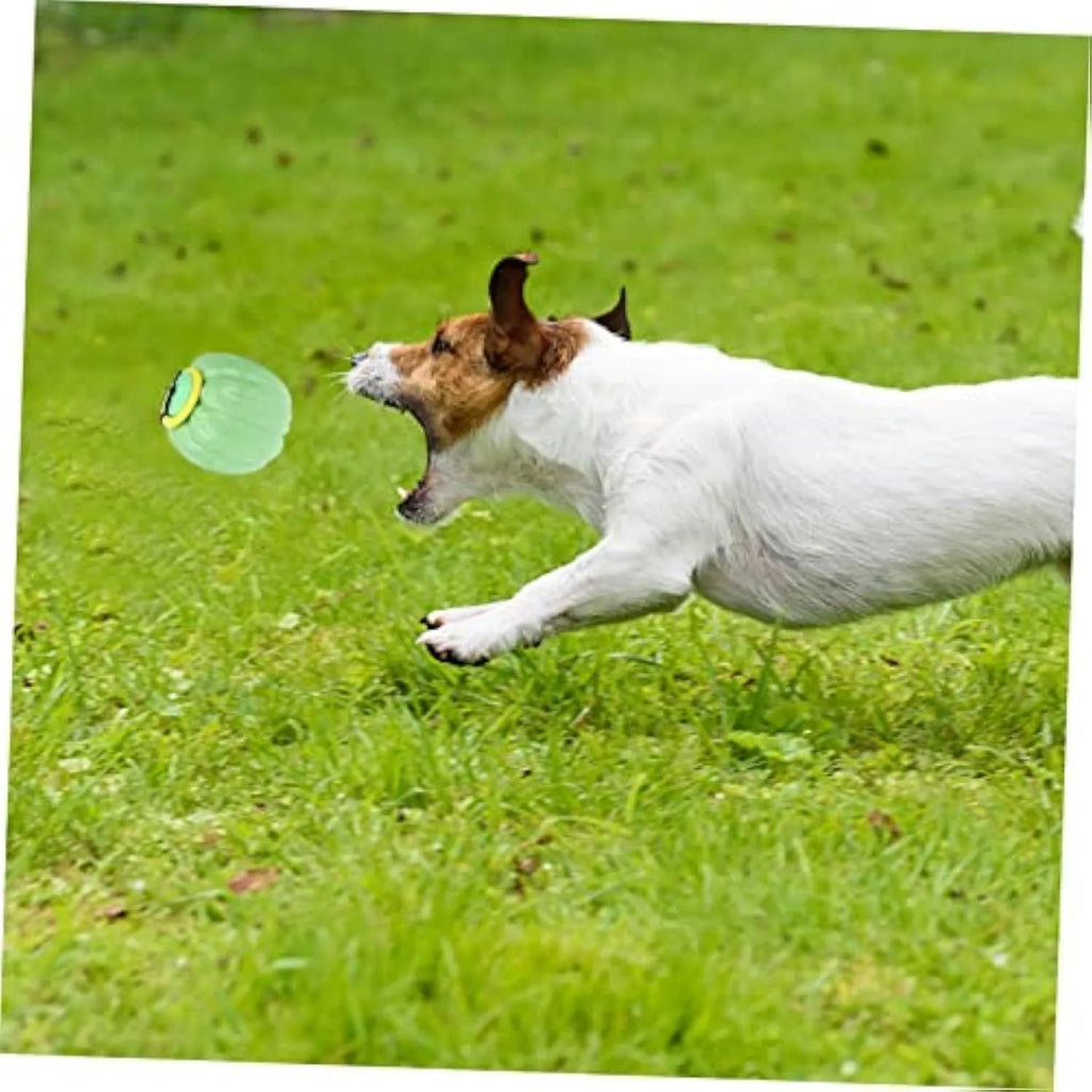 Pumpkin-shaped dog chew ball with squeaker for small dogs in green, orange and yellow colours
