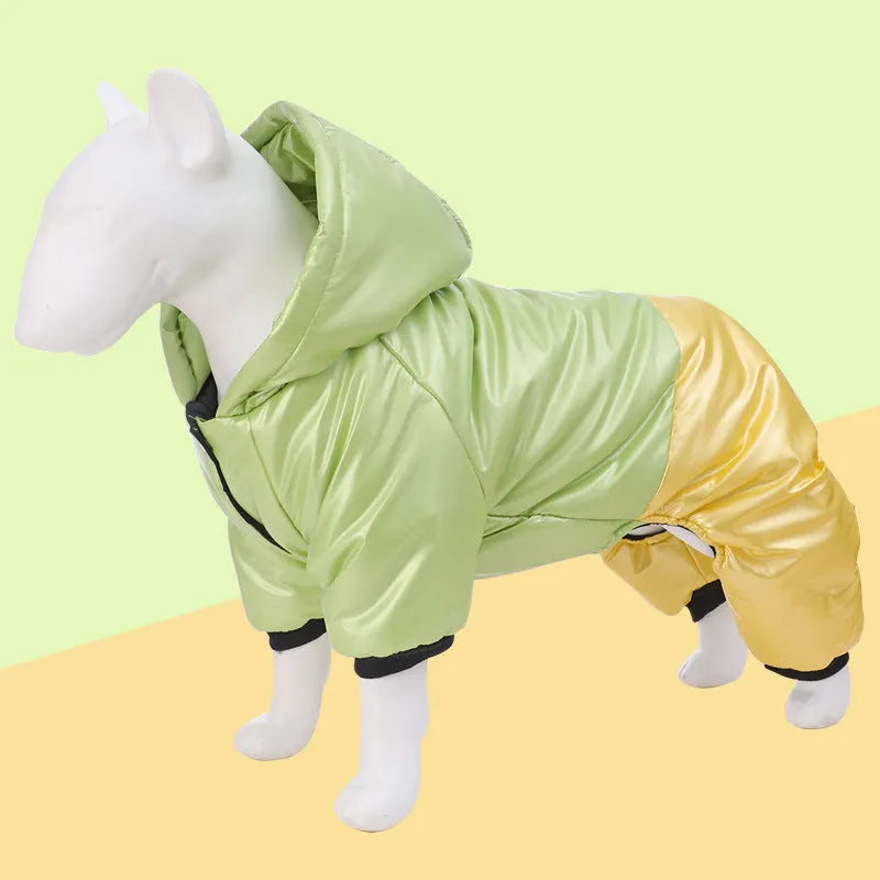 Green waterproof dog coat with cotton padding shown on a dog
