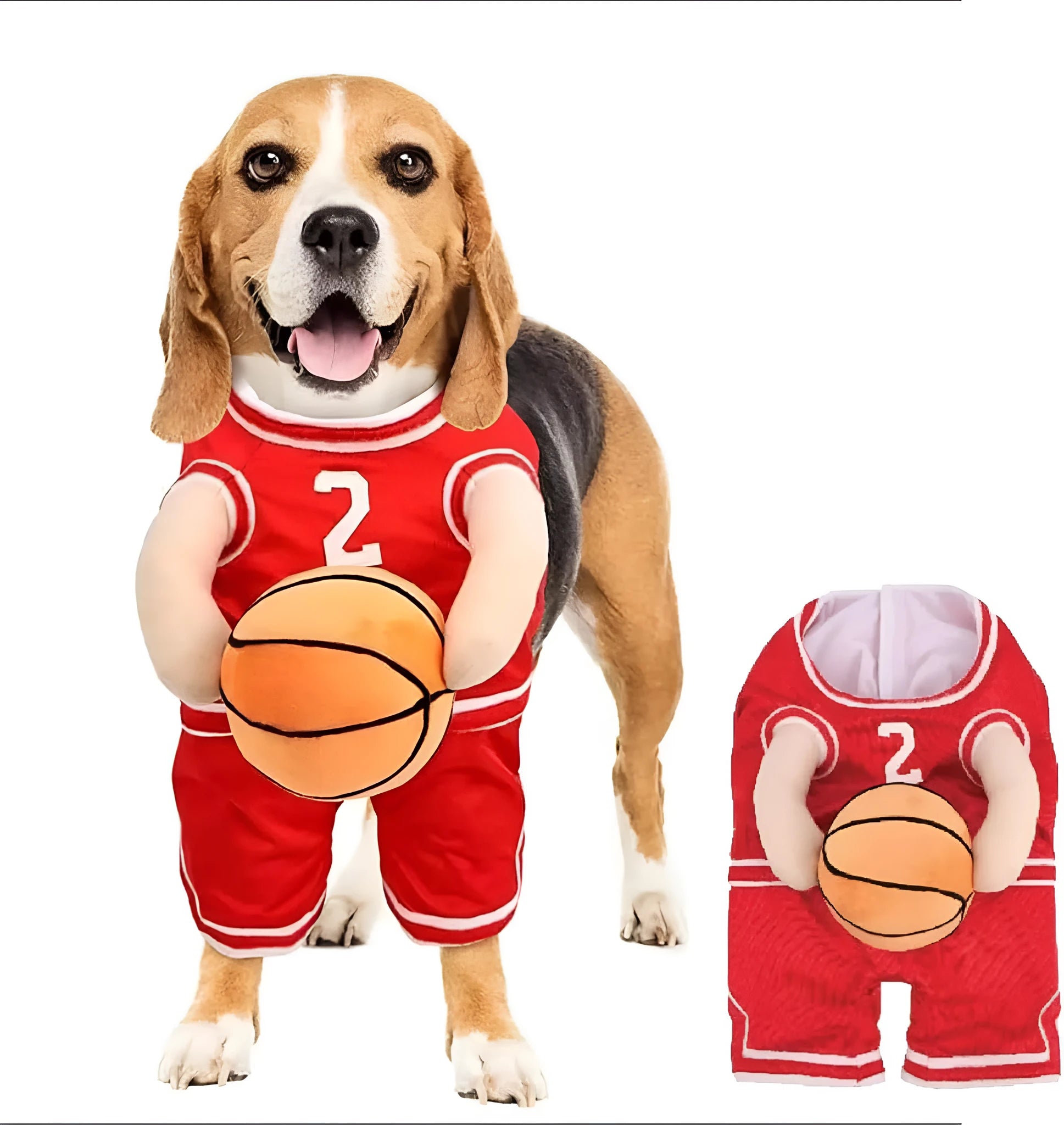 Small dog wearing red basketball player costume with padded arms and a bouncing basketball accessory