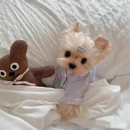 Korean spring blue star-patterned cotton pet pajama suit for dogs and cats