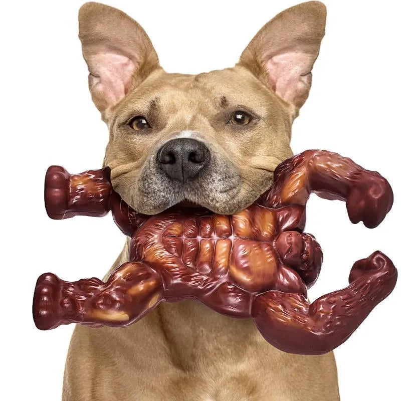Scarlet beef-flavoured nylon dog chew toy with textured surface for dental cleaning