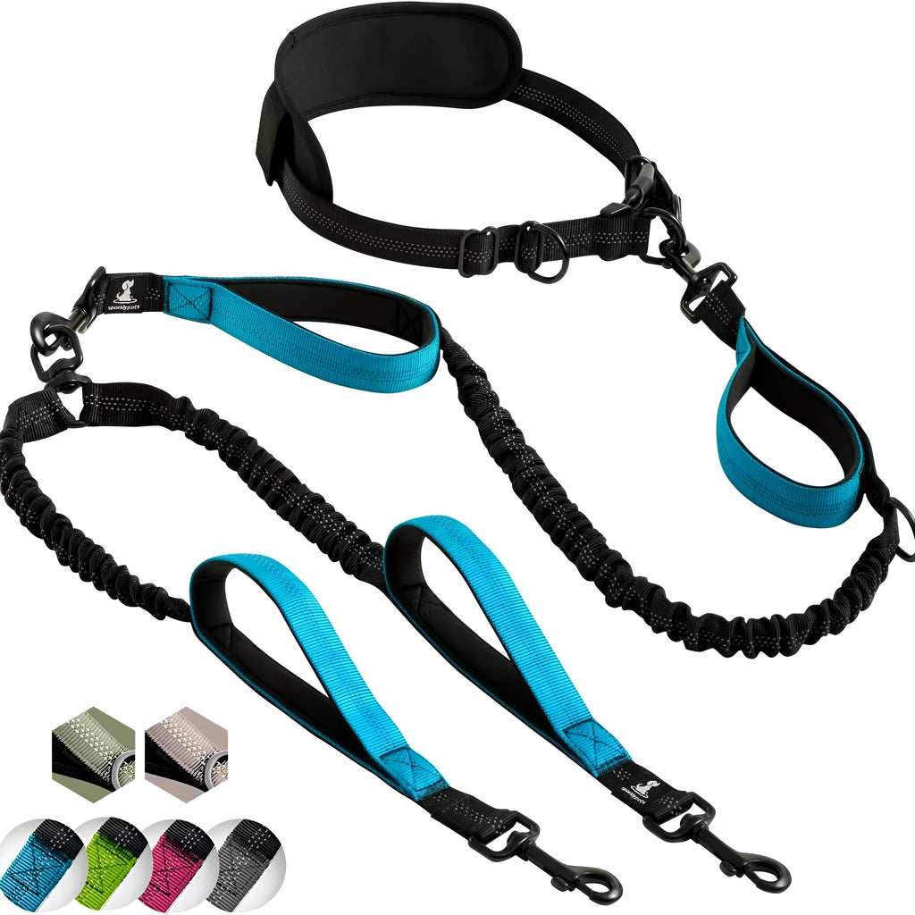 Nylon dog running traction belt with hand-holding rope, 115cm stretch double-ended section, and 135cm waist belt in black and blue
