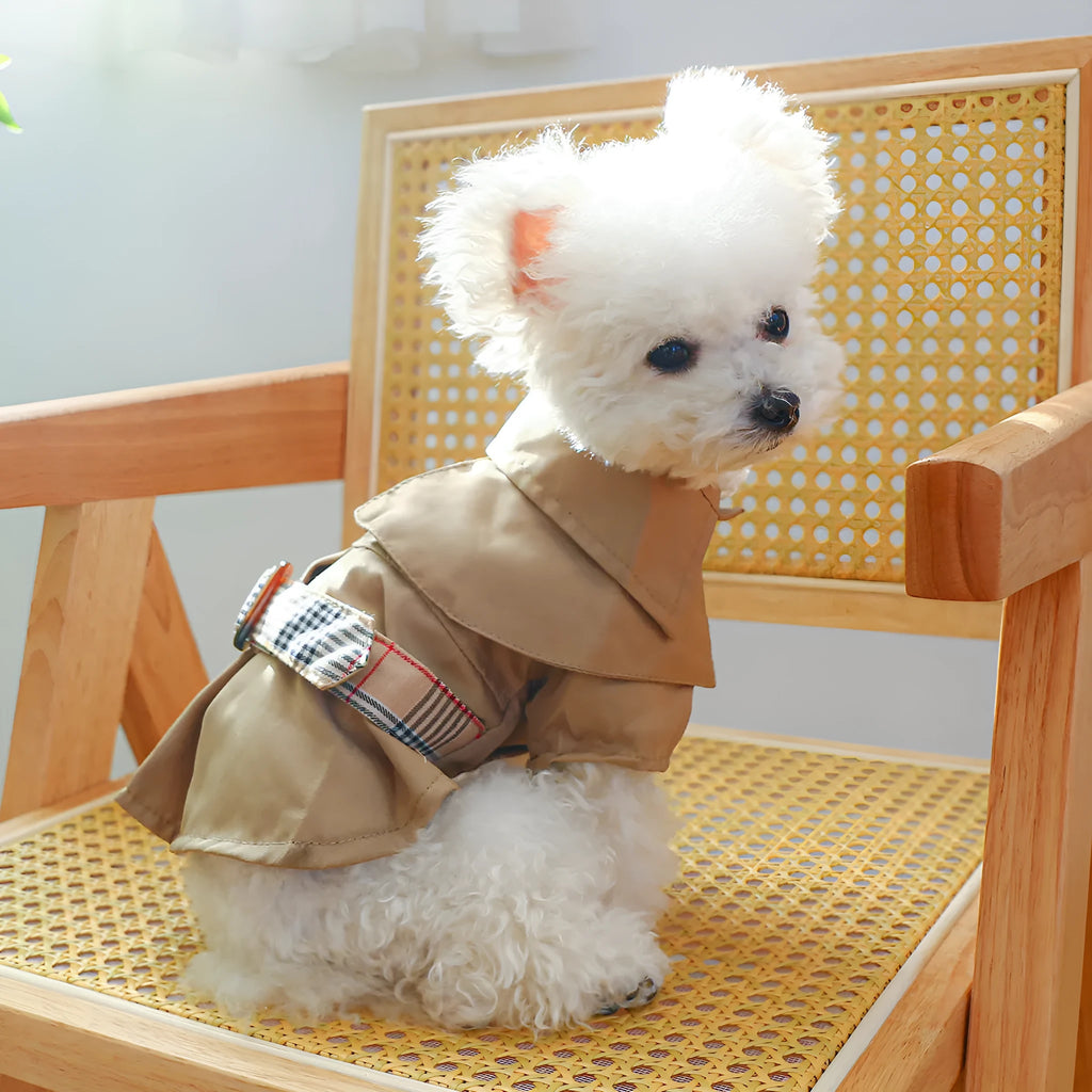 Khaki polyester trench coat pet clothing for dogs on white background