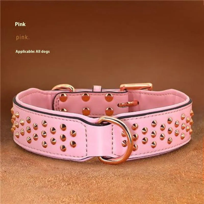 Leather dog collar with metal rivets and buckle in chocolate colour on a white background.