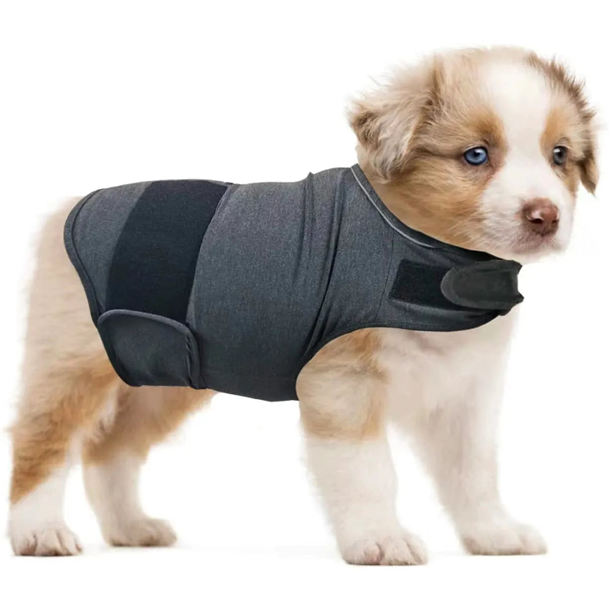 Brown brocade cotton dog anxiety tank top for separation anxiety relief on canine