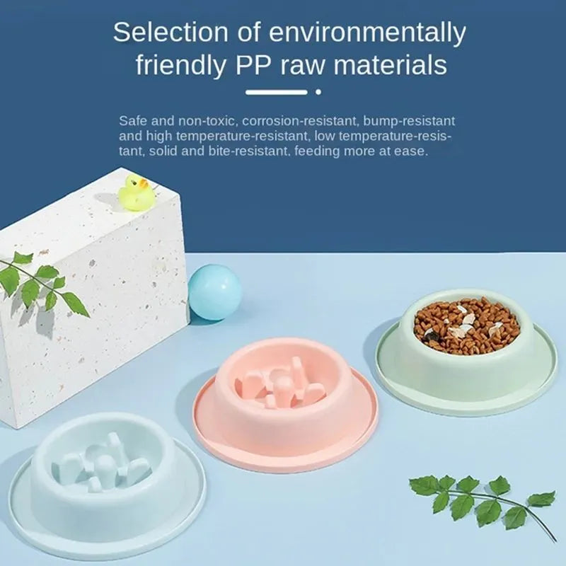 Pet slow eating feeder bowl in blue PP plastic with raised internal sections and non-slip base