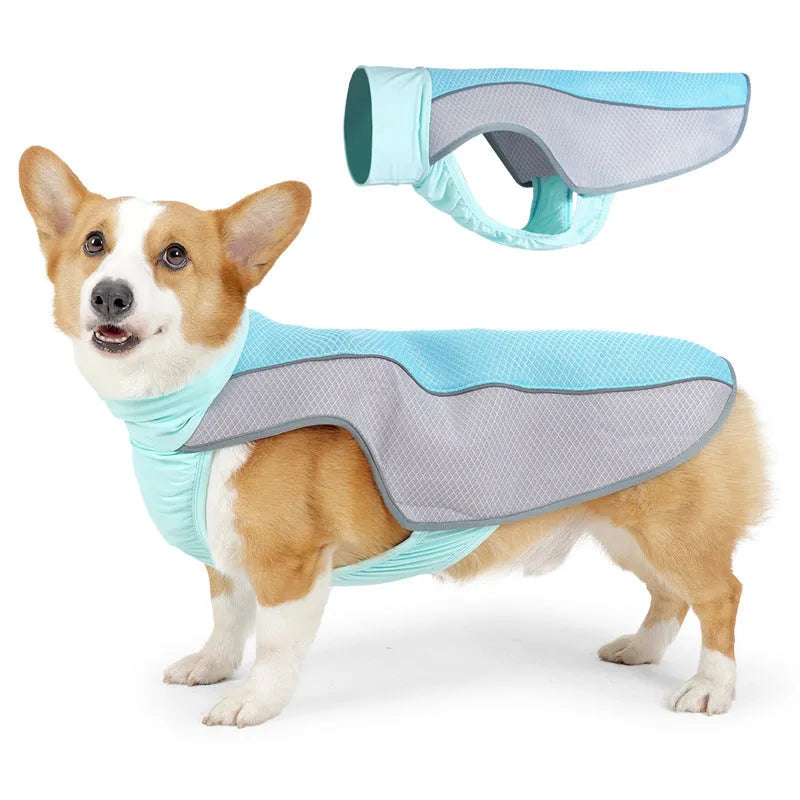 Dog wearing grey cooling vest with breathable mesh fabric for heatstroke prevention