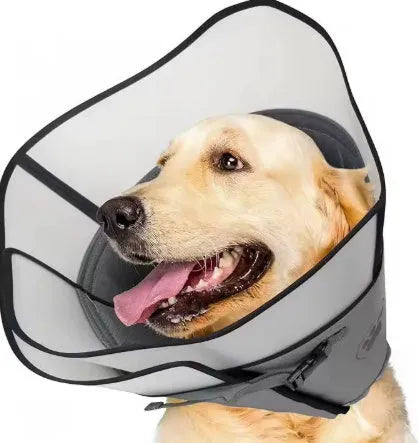 Soft polyester adjustable pet sterilization collar in sizes L, M, XL shown in single and double layer styles.