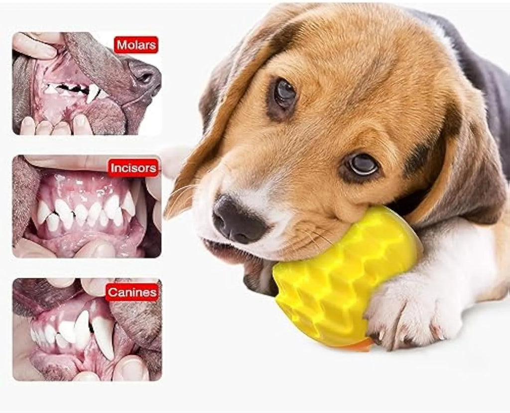 Blue squeaky rubber dog ball with spiked surface for dental cleaning and aggressive chewers