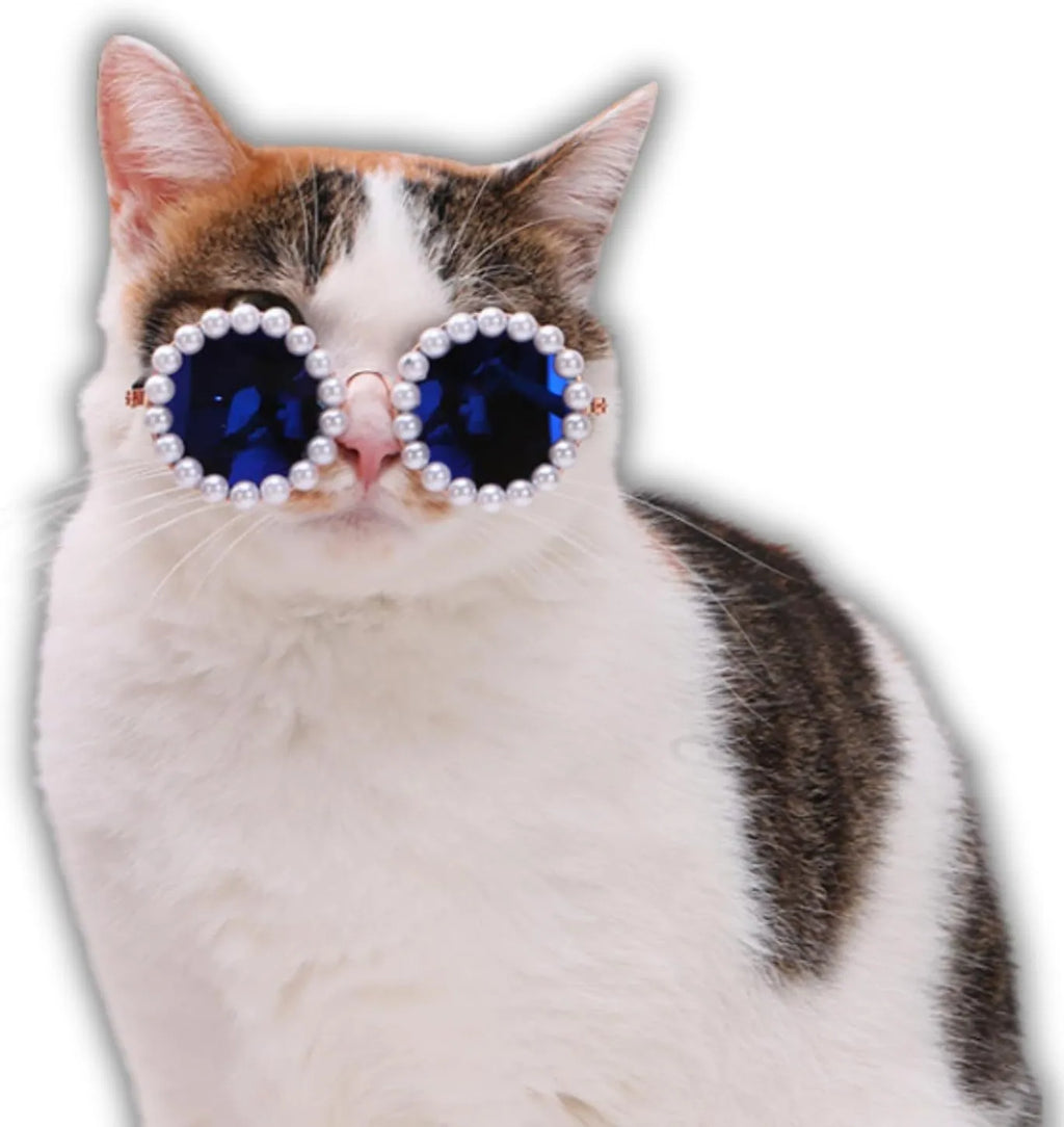 Round pearl-rimmed sunglasses for a cat or dog, shown in multiple colours including black, blue, and orange.