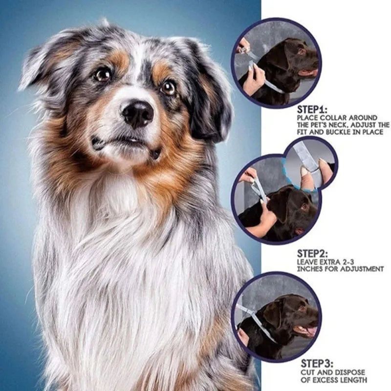 Plastic flea and anti-lice collar for pets in rainbow packaging, showing cat and dog size options.
