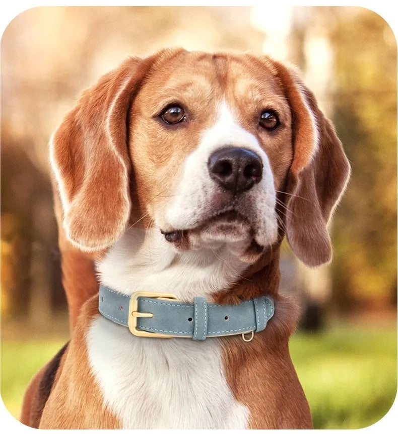 Creative double-layer leather and mohair dog collar with matching leash in blue, brown, or rose red.