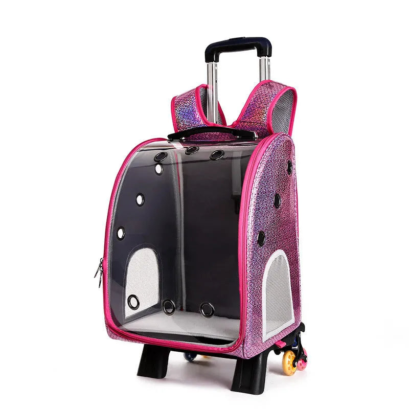 Transparent pet trolley with folding shoulder design in blue colour for small dog and cat transport