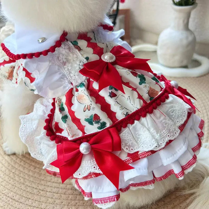A small white dog wearing a blue and white rabbit print skirt, showcasing the princess-style pet clothing.