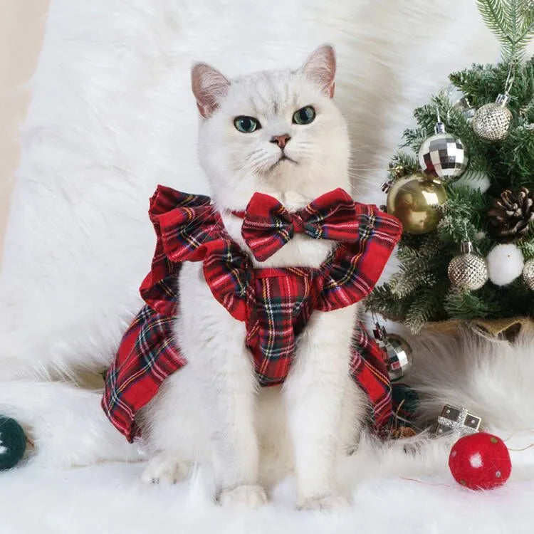 Red tartan Christmas skirt outfit with bow tie and head flower on a cat