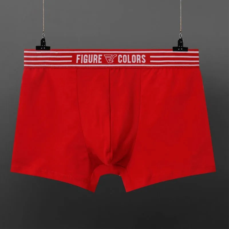 Men's cotton knitted low-waist boxers in solid colours, size range M to 3XL, nine colour options