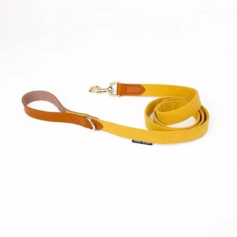 Dog bowknot collar and hand holding rope set in cream green