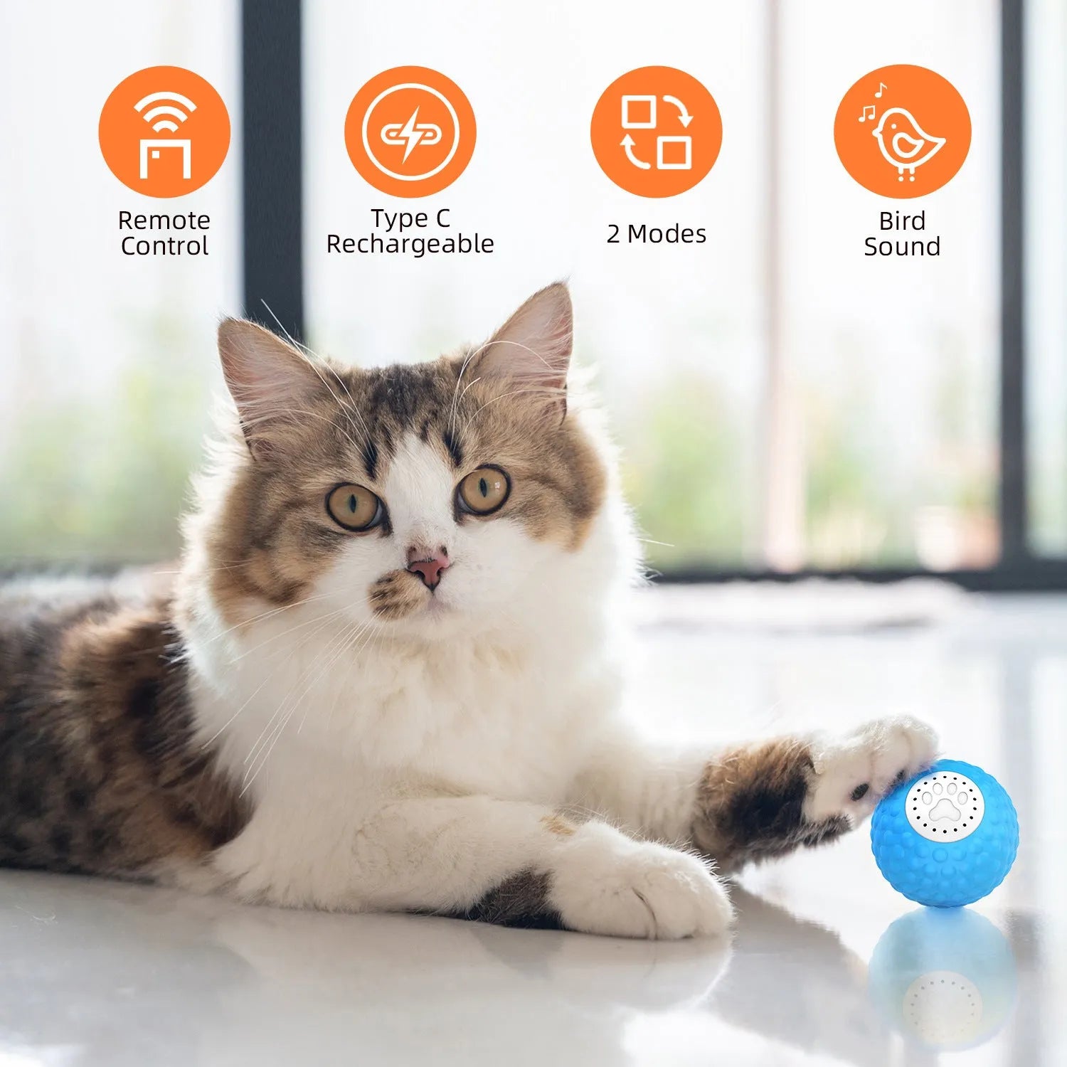 Remote control cat toy ball in blue, green, and yellow colours with wireless controller