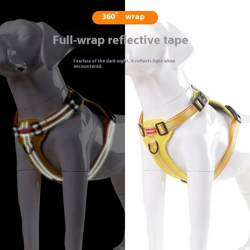 Adjustable polyester dog harness and lead set in multiple colours, shown on a dog, with front-chest attachment ring.