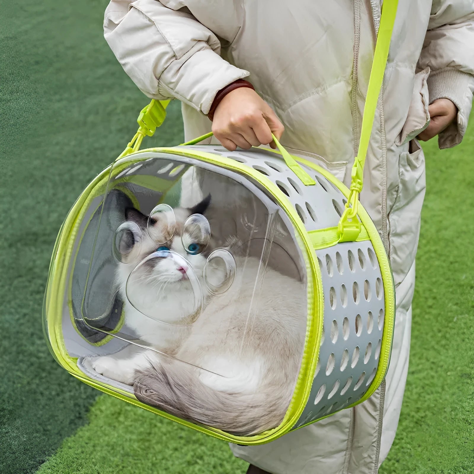 Large transparent hard-shell EVA cat backpack carrier folded and in use, shown in various colours.