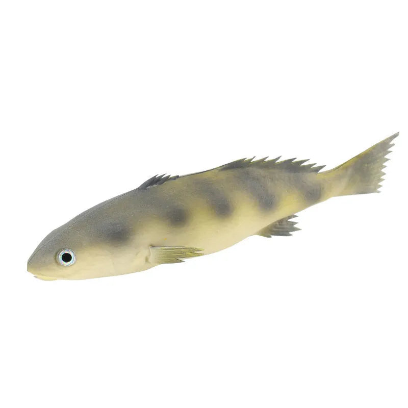 Set of four colourful PU simulated fish model ornaments including tuna and flower fish on a white background.