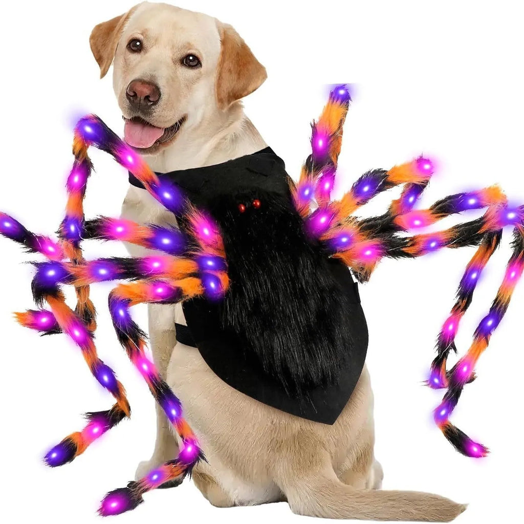Halloween luminous spider pet costume in cloth for cats and large dogs, sizes S 60cm to L 125cm