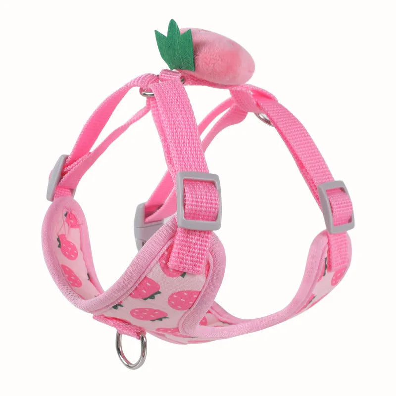 Small dog wearing a green avocado-coloured vest-style harness with reflective trim.