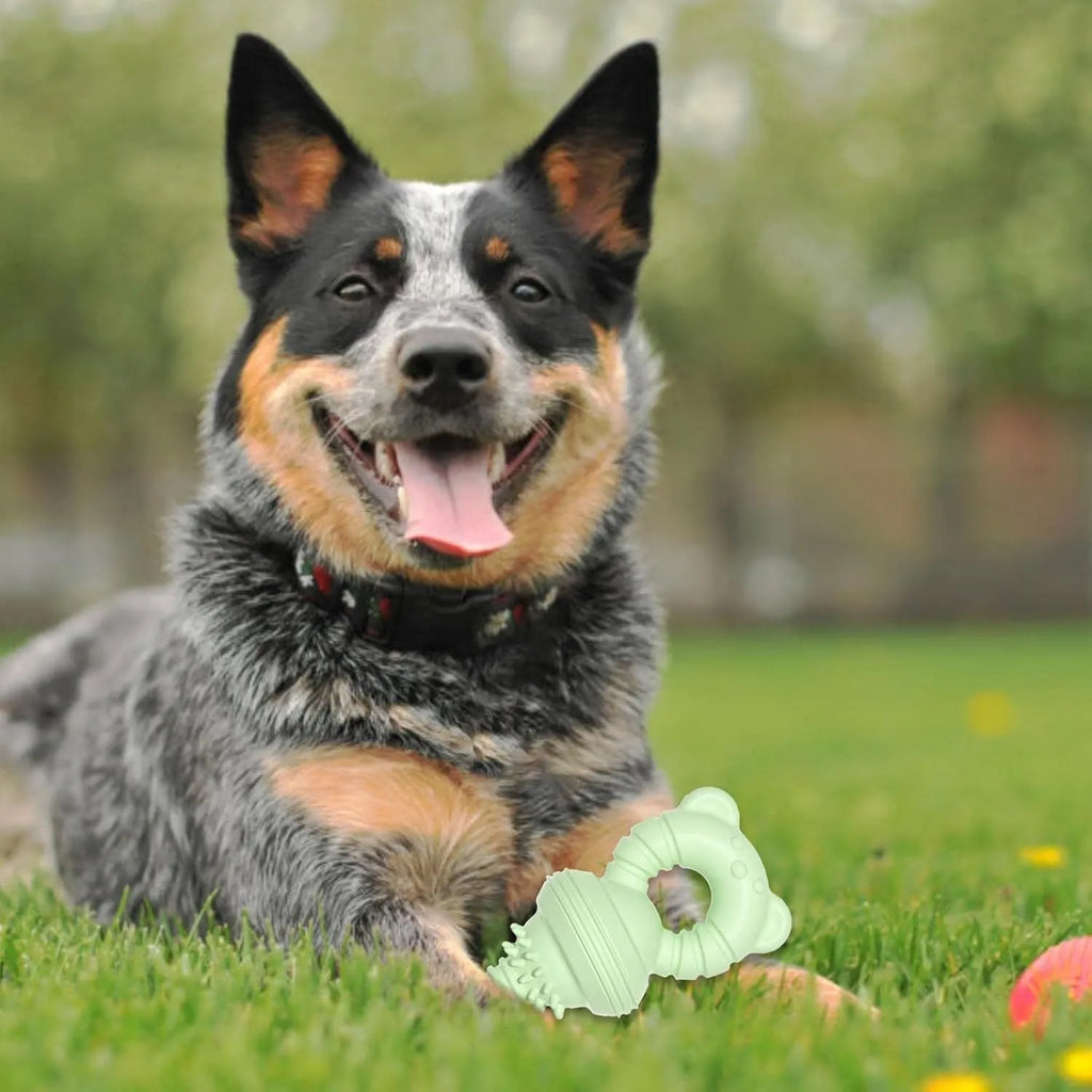 Blue rubber dog chew toy with textured surface for teeth cleaning, measuring 13.5cm