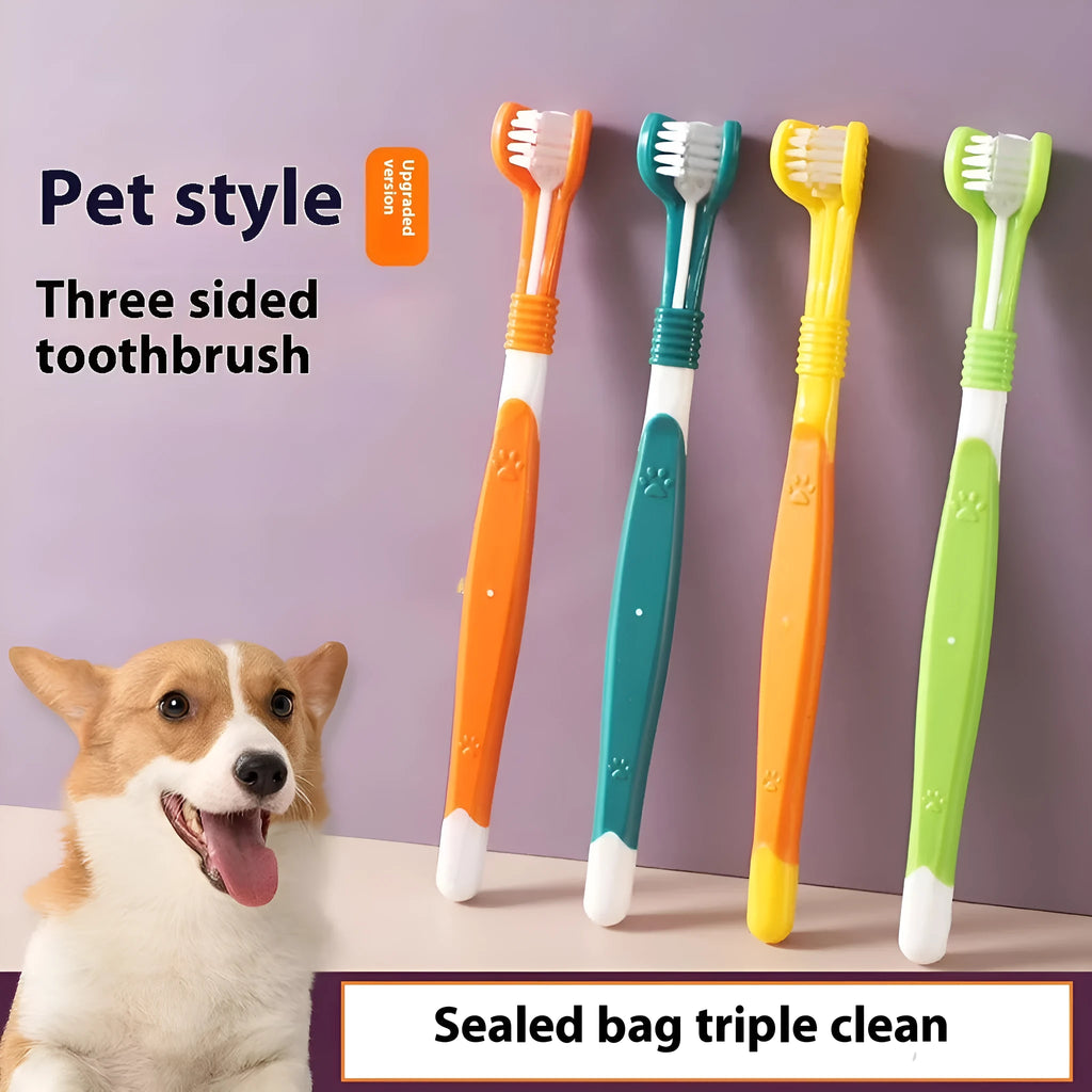 Six coloured pet toothbrushes with plastic handles and nylon bristles for dog and cat dental care