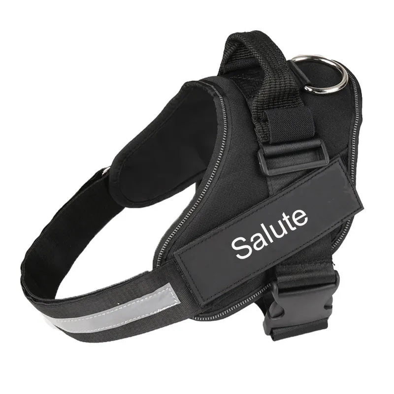 Reflective adjustable no-pull dog harness with handle on black labrador
