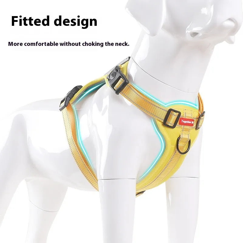 Adjustable polyester dog harness and lead set in multiple colours, shown on a dog, with front-chest attachment ring.
