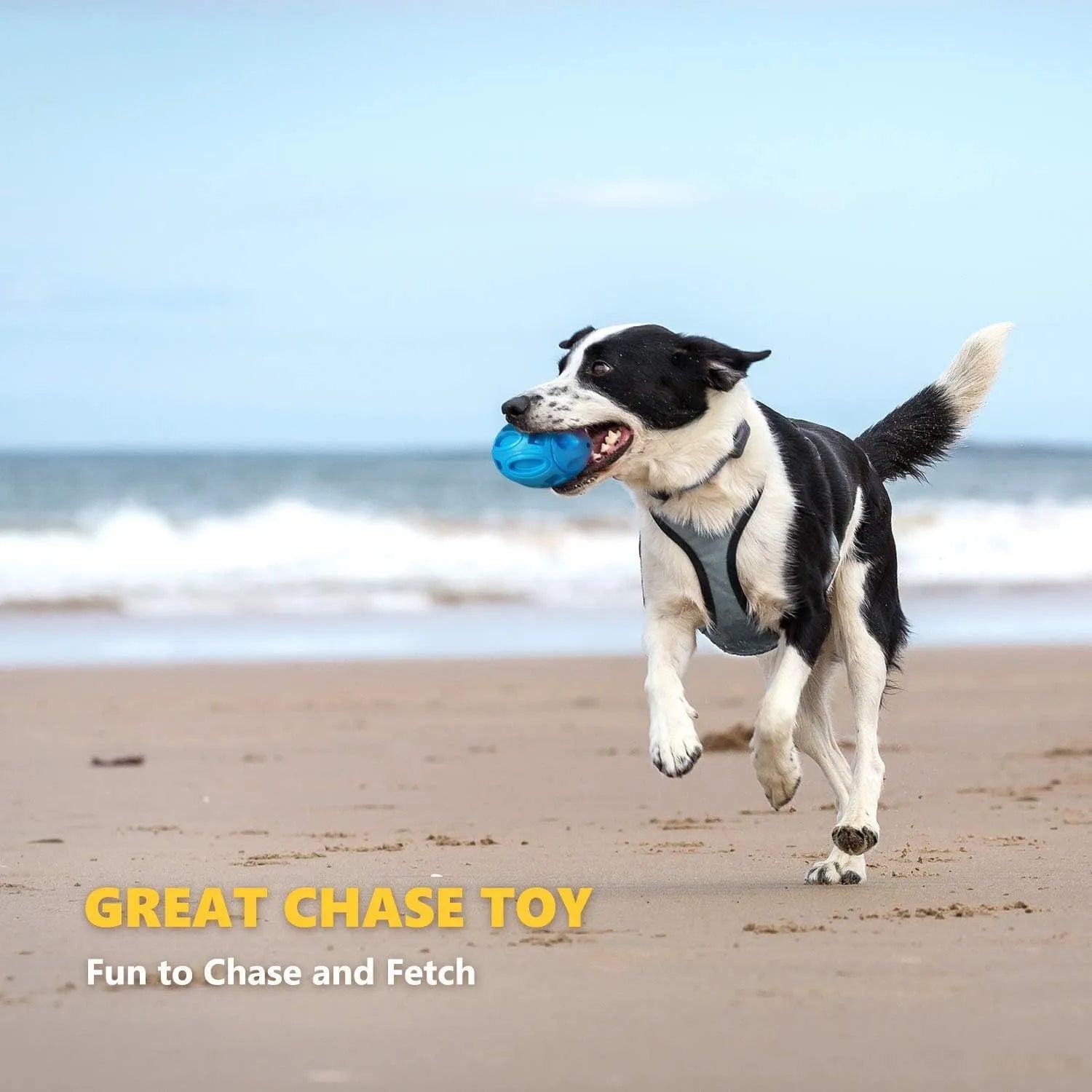 Blue natural rubber squeaky dog toy ball with surface grooves for medium and large breed aggressive chewers