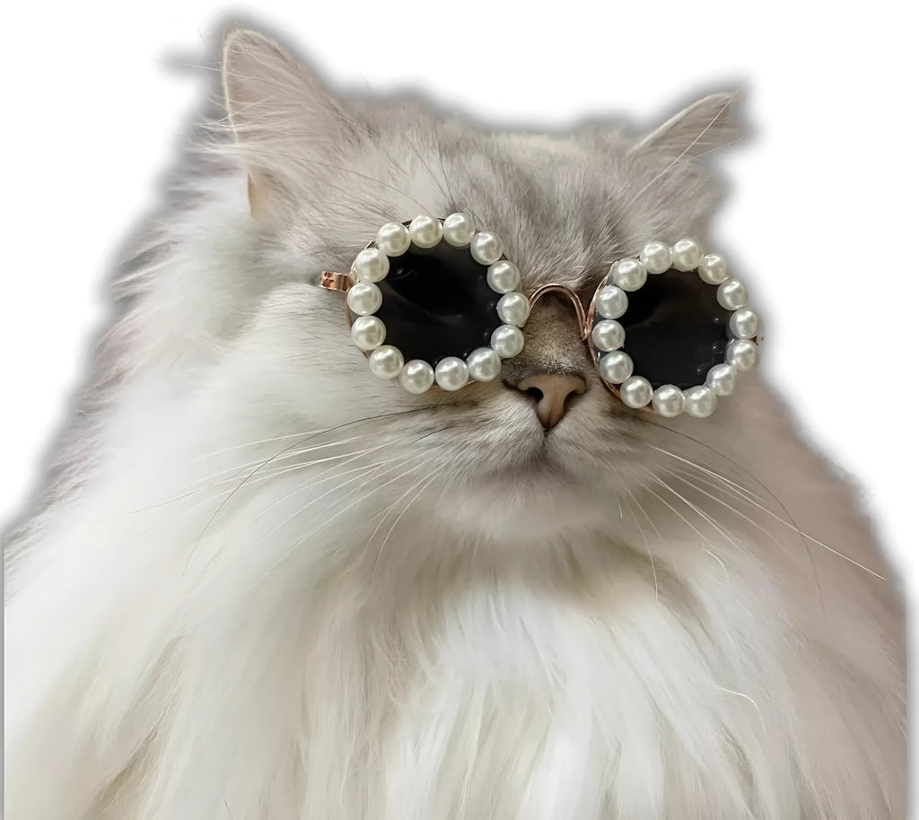 Round pearl-rimmed sunglasses for a cat or dog, shown in multiple colours including black, blue, and orange.