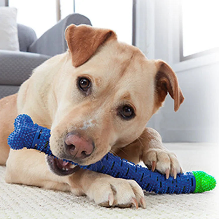 Blue and green silicone dog dental chew toy with brush-head texture and nodule design for cleaning teeth.
