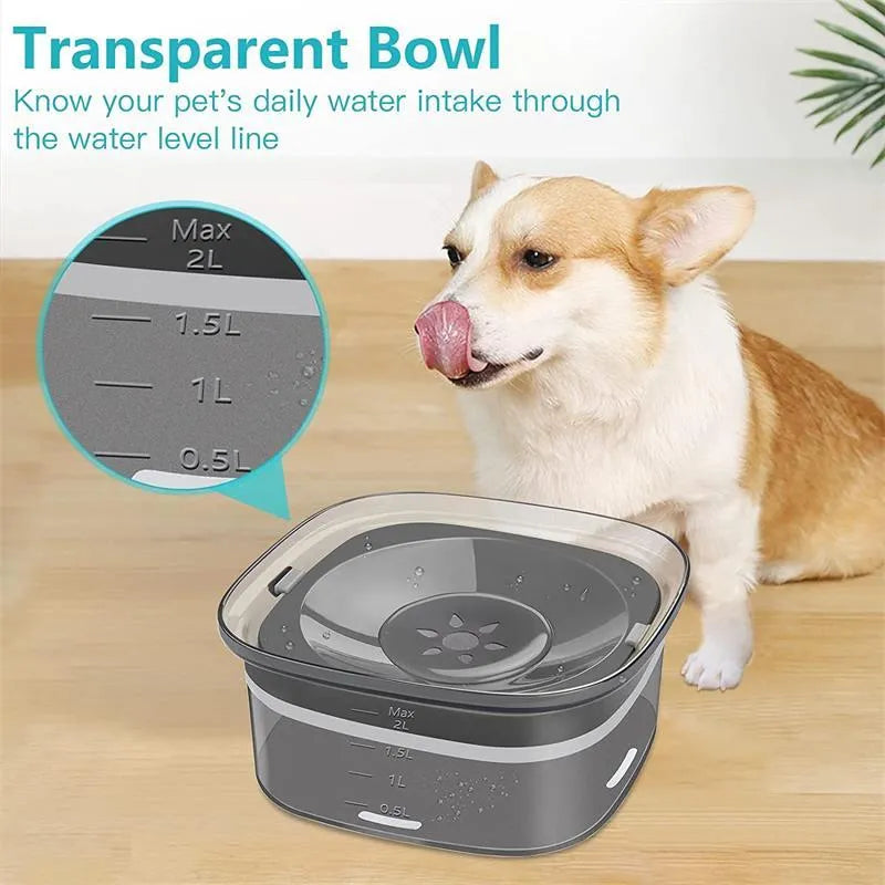 Transparent 2 litre dog water bowl with floating disk and visible water level