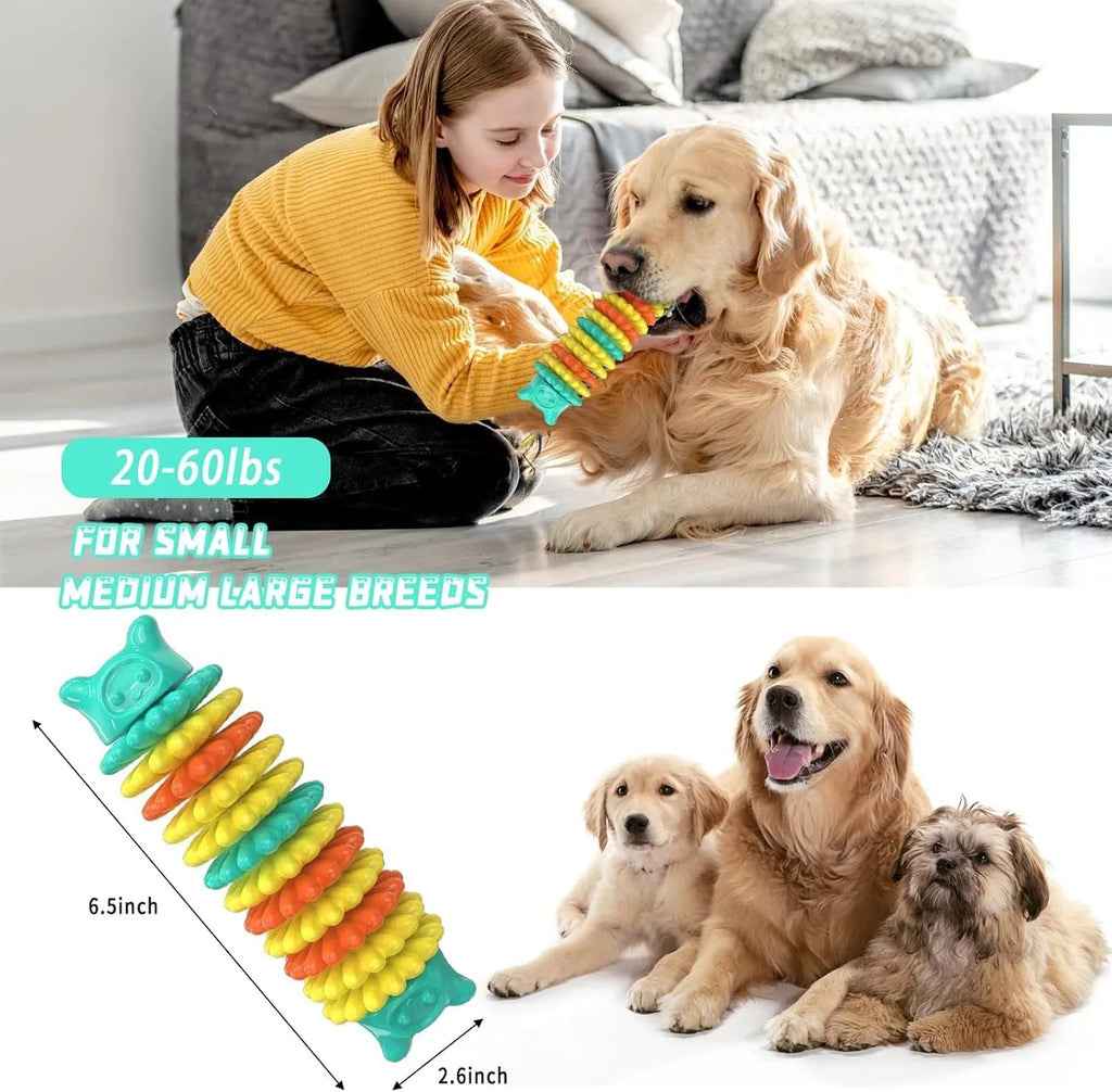 Blue natural rubber caterpillar-shaped dog chew toy for aggressive chewers.