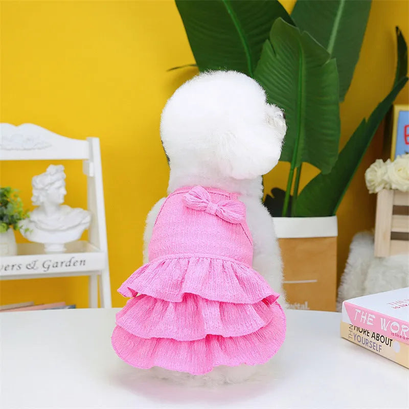 Small white dog wearing a rose red layered skirt princess dress.