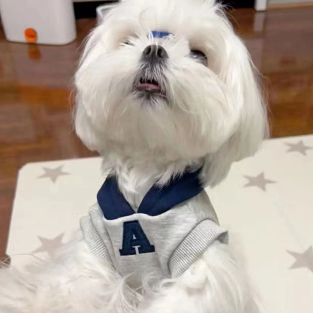 Blue and grey white slim-fitting pet hoodie with reflective letters for cats and dogs