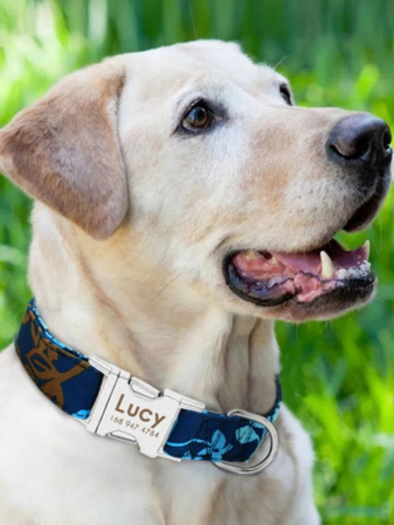 Nylon dog collar in green with metal buckle on white background