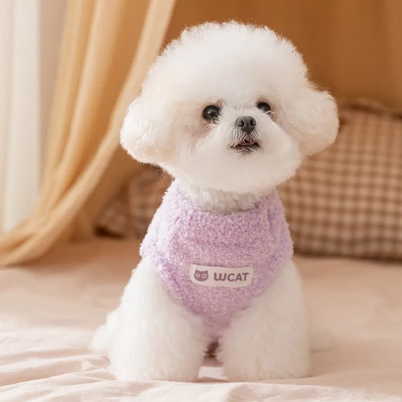 Cute owl face pet sweater in blue and purple, soft plush winter pullover for cats and small dogs, XS S