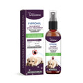 100ml pet pest spray bottle with botanical extracts for flea and tick control on dogs and cats