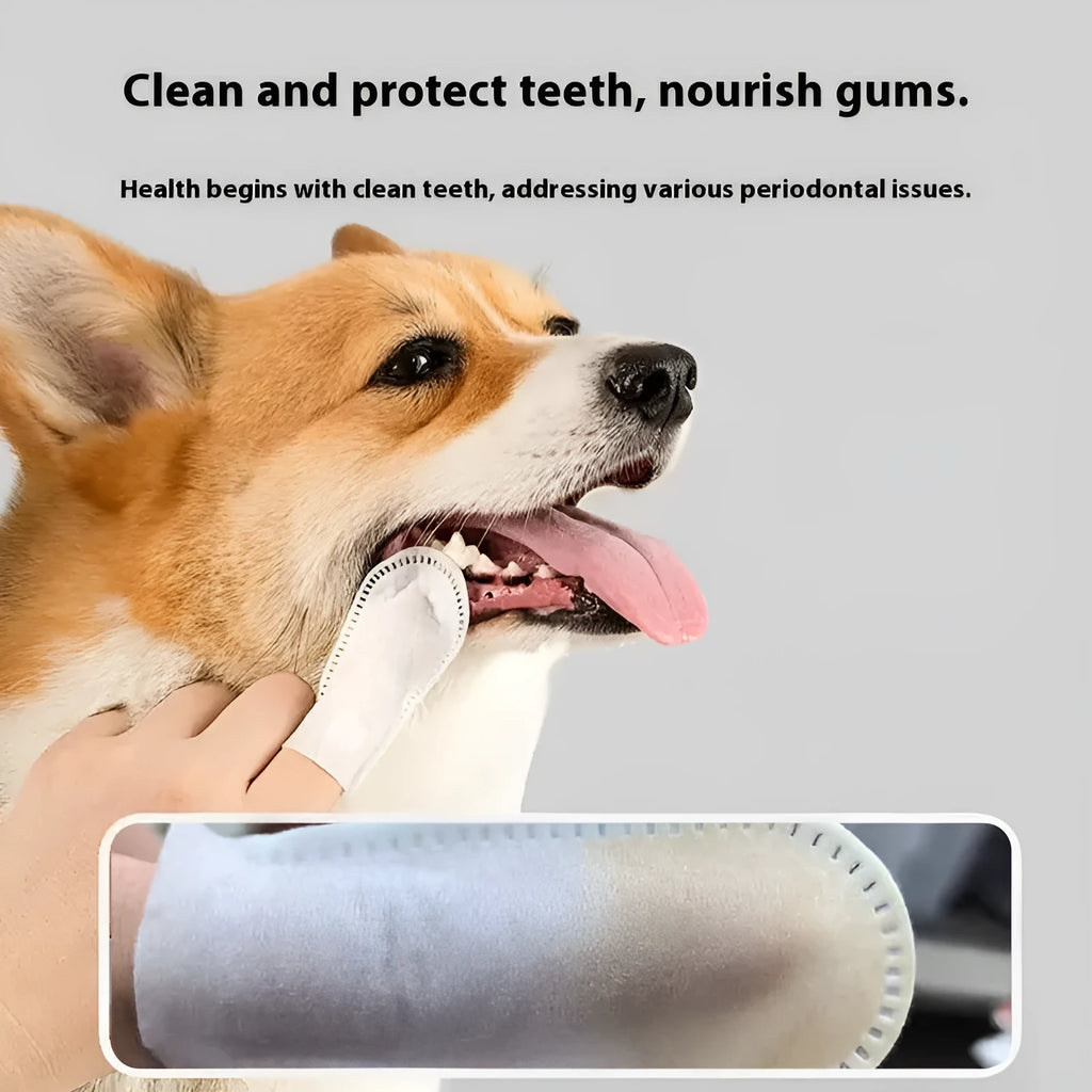 Pack of 50 white pet dental finger cots for cleaning dog and cat teeth, made from non-woven fabric