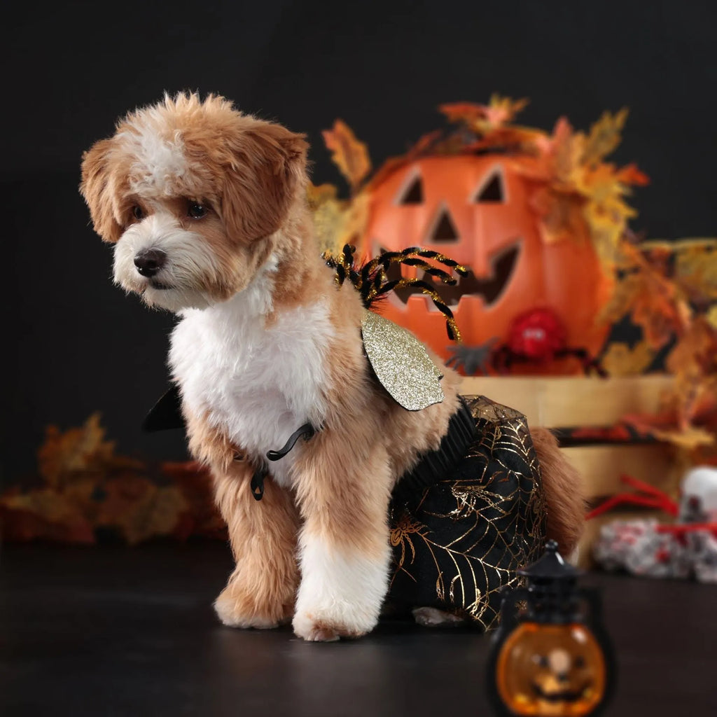 A dog wearing a classic suit-style Halloween costume, available in sizes small to extra large.