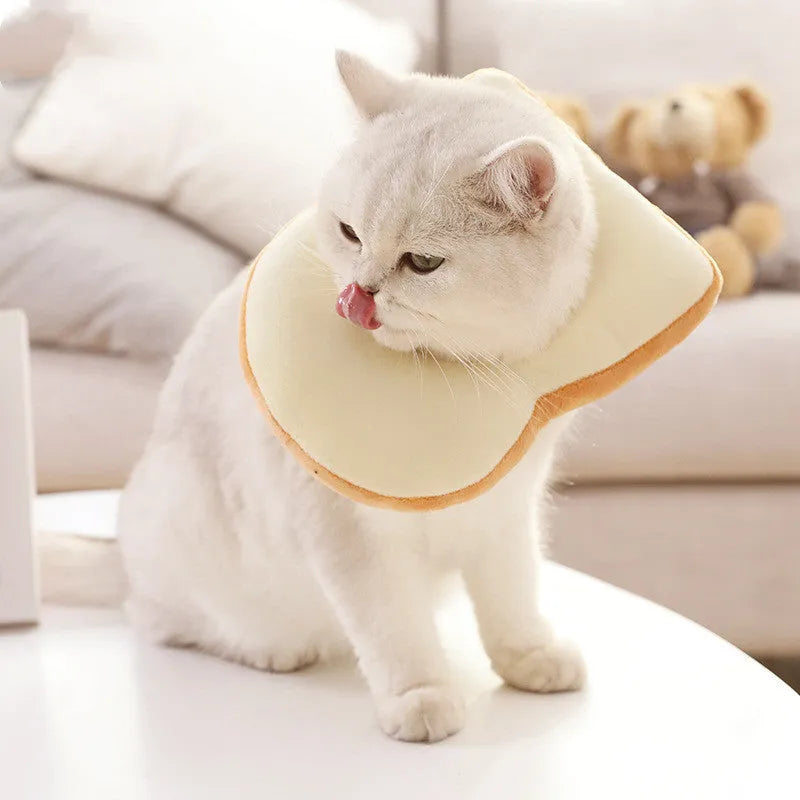 Cat wearing plush toast headdress collar with soft fabric, chain strap, side view on white background