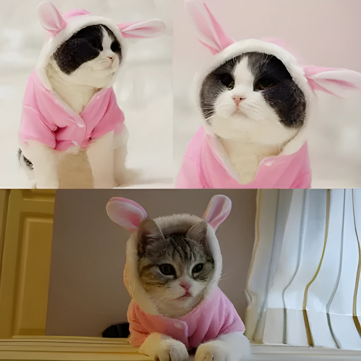 Fleece pet hoodie with rabbit design in pink or red, sizes XS to XL, for cats and small puppies